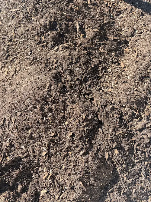 Peat-Free Compost — J & S Vicary garden supplies